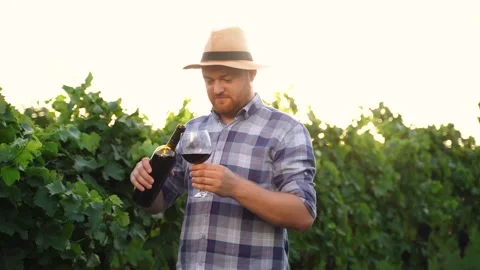 Authentic close up shot of happy successful male winemaker. Stock Footage 210225372