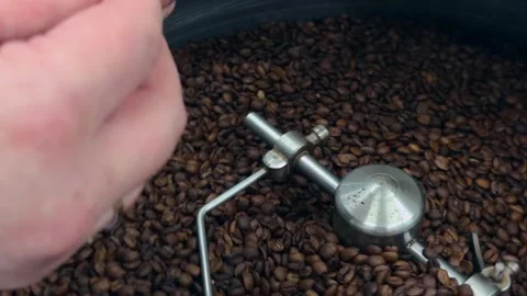 Authentic Close Up Shot of Specialty Coffee Roaster Operator Hand Scooping .. 스톡 동영상 332155539
