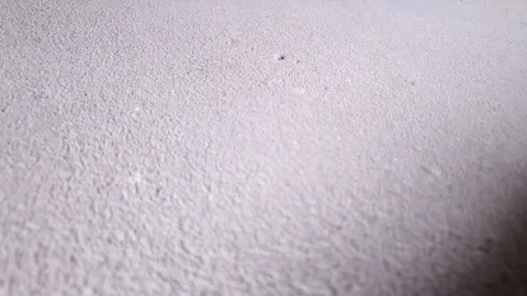 Authentic concrete floor. Cement slab, foundation. Concrete surface. Stock Footage 345598496