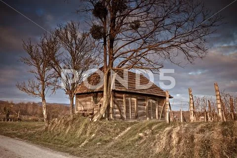 Authentic croatian wooden cottage - wine cellar Stock Photos