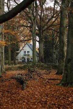 An authentic Dutch house in Eindhoven surrounded by trees during fall 스톡 사진