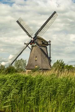 Authentic Dutch windmill surrounded by natural vegetation in Kinderdijk Stock Photos