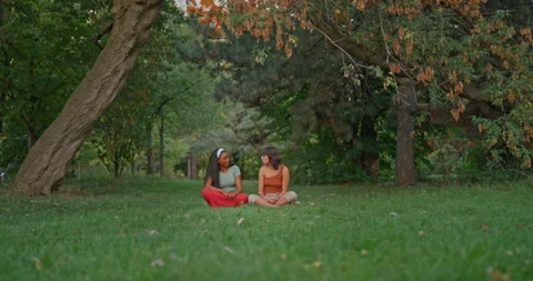 Authentic Female Friends Talking In Forest Clearing Stock-Footage 331022549