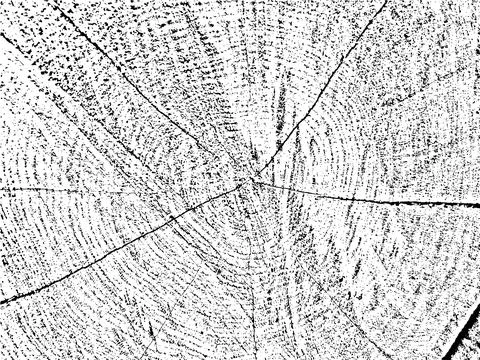Authentic grunge texture of a tree cross-section with cracks Stock Illustration