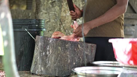 Authentic Indian Chicken Market Scene with Butcher Cutting Fresh Poultry Meat. Stock Footage 334835664