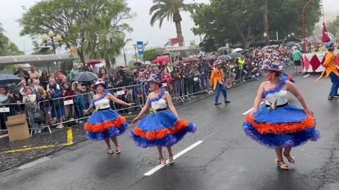 Authentic Madeira Flower Parade Experience With Ambient Sound (Part 49) Video stock 334871249