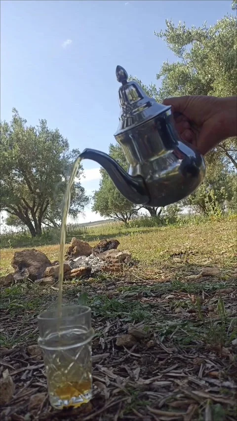 Authentic Moroccan Mint Tea Preparation in Sunny Nature Landscape Stock Footage 334580653
