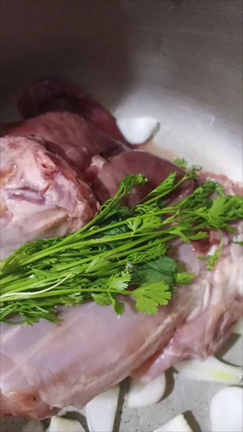 Authentic Moroccan Rabbit Stew with Golden Thistle Preparation - Part 2" Stock Footage 333682492