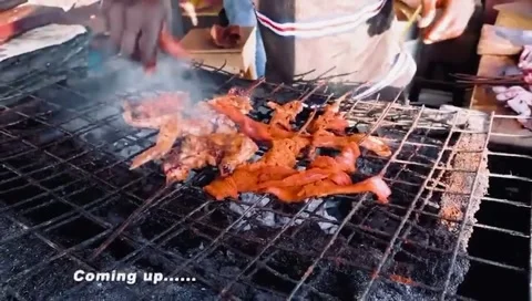 Authentic Nigerian Suya Vendor Grilling Spicy Street Meat Over Fire in Lagos Video stock 313310119