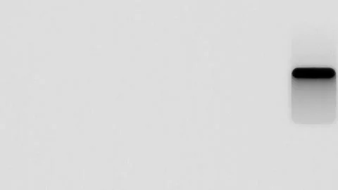 Authentic old 8mm film scan reel overlay Stock Footage 344787576