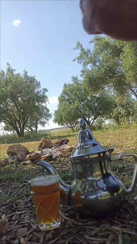 Authentic Outdoor Tea Service in Rural Landscape Stock Footage 334580662