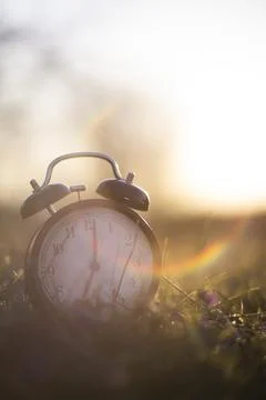 Authentic photo of an alarm clock in the grass with sunrise Stock Photos