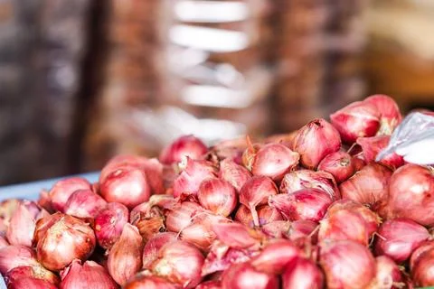 Authentic Raw Red Shallots and Peeled Purple Onion Bulbs for Gastronomy Ing.. Stock Photos