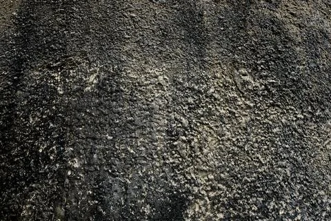 Authentic rough grey concrete wall surface. Industrial background texture. Stock Photos