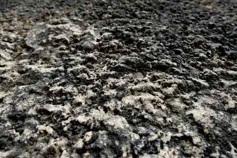 Authentic rough grey concrete wall surface. Industrial background texture. Stock Photos