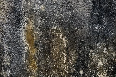 Authentic rough grey concrete wall surface. Industrial background texture. Stock Photos
