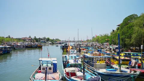 Authentic Sri Lankan harbor scene with fishing boats docked along the Vídeo Stock 335478755