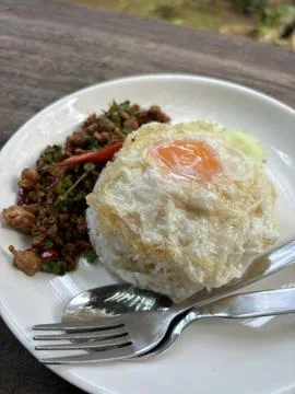 Authentic Thai Stir-Fried Minced Pork with Holy Basil and Fried Egg over Rice Stock Photos
