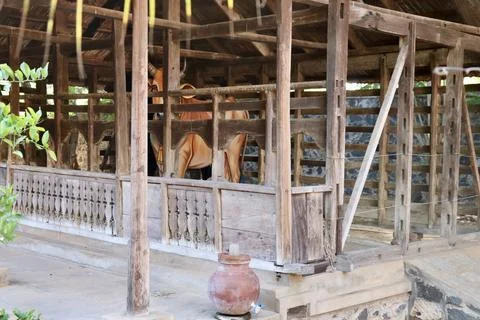 Authentic timber barn structure for livestock with thatched elements Foto stock