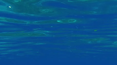 Authentic underwater view of undulating sea surface Видео 278954309