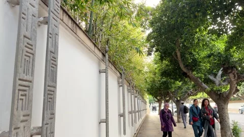 This authentic urban scene captures the daily life and architectural details. Stock Footage 331670057