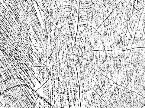Authentic vector grunge texture of a tree cross-section with cracks Illustrazione stock