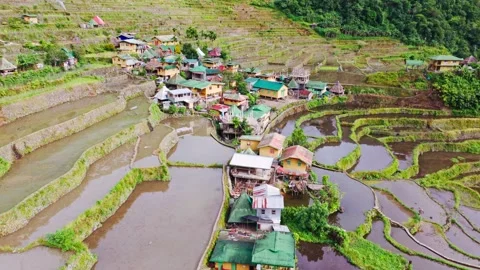 Authentic Village Surrounded By Batad Rice Terraces In Mountain Amphitheater Видео 333152580