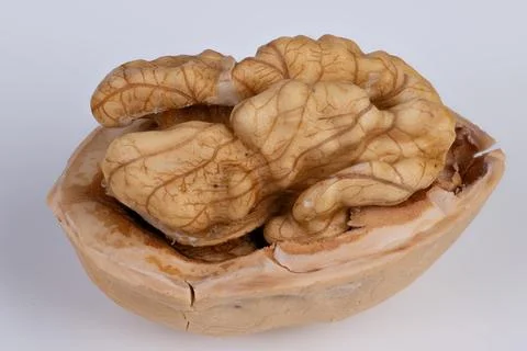 Authentic walnut with natural particles. Rustic walnut featuring shell and kerne 写真素材
