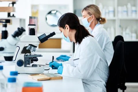Authenticating clinical case reports. a young scientist working in a lab with Stock Photos