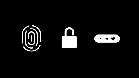 Authentication Methods Stock Footage 334289277