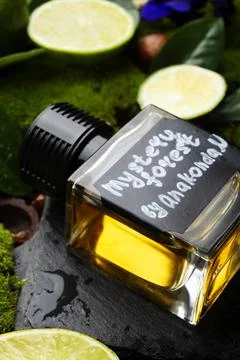 Author selective perfume bottles around green moss, flowers and leaves  . clo Foto stock