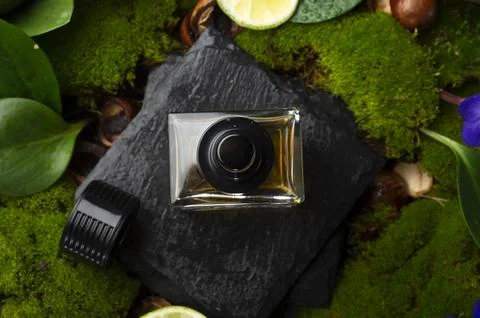 Author selective perfume bottles around green moss, flowers and leaves  . clo Stock Photos