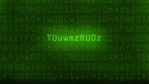 Authorised scrambled data animation on binary background Stock Footage 178508481