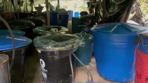 Authorities Destroy Secret Cocaine Kitchen In Ecuadorian Jungle In Sucumbios... Video stock 233990291