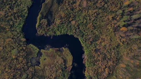 Autmn River Forest Top-down Drone Shot Stock Footage 284913090