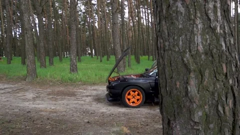 AUTO (2) Stock Footage 154374061