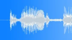 Auto Audi Sound Effect