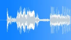 Auto Audi Sound Effect