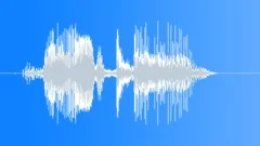 Auto Austin Sound Effect