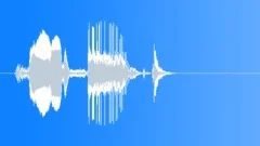 Auto Austin Sound Effect