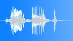 Auto Cadillac Sound Effect