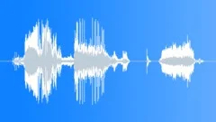 Auto Cadillac Sound Effect