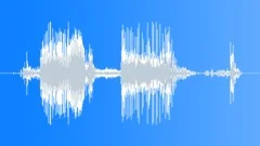 Auto Cadillac Sound Effect