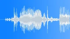 Auto Cadillac Sound Effect