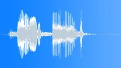 Auto Cadillac Sound Effect