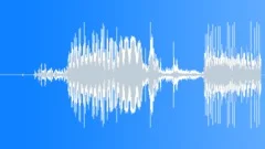 Auto Cadillac Sound Effect