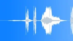 Auto CamaroSound Effect