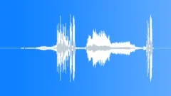 Auto CamaroSound Effect