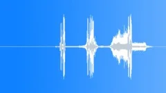 Auto CamaroSound Effect