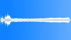 AUTO, CHEVY CAPRICESound Effect